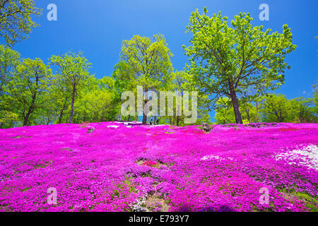 Hokkaido, Japan Stockfoto