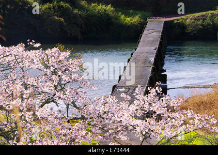 Kochi Präfektur, Japan Stockfoto