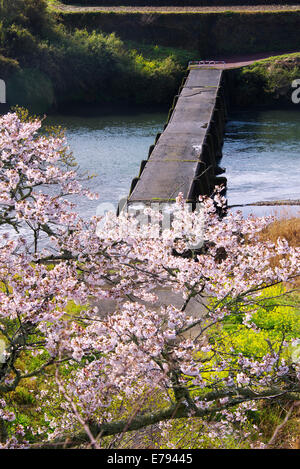 Kochi Präfektur, Japan Stockfoto