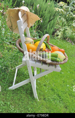 Korb mit frischem Gemüse auf einem Stuhl in einem Landschaftsgarten Stockfoto