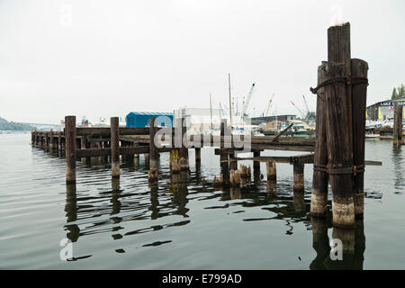 Holzsteg am Lake Union Stockfoto