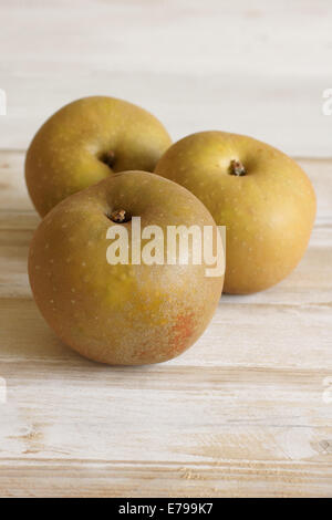 Apple Sorte Malus Domestica Egremont Rotbraun Stockfoto