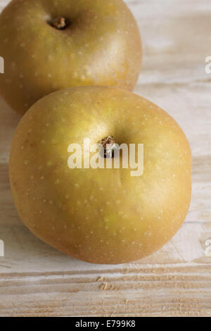 Apple Sorte Malus Domestica Egremont Rotbraun Stockfoto