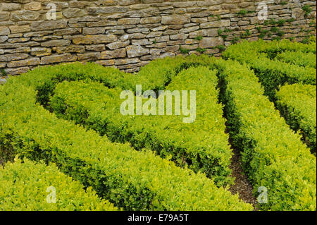 Box Hedge (Buxus sempervirens) in der Form eines Herzens in einer Knott Garten abgeschnitten in den Cotswolds, Gloucestershire, England, Großbritannien Stockfoto