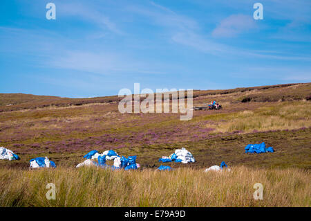 Plastiktüten von Torf oder Torf-Sammlung auf einem Donegal Moor in Erwartung Stockfoto