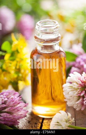 ätherisches Öl und medizinische Blumen Kräuter Stockfoto