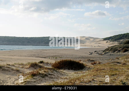 Playa de Bolonia beach, Provinz Cadiz, Tarifa, Costa De La Luz, Andalusien, Spanien Stockfoto