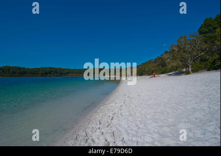 Lake McKenzie, Fraser Island, Queensland, Australien Stockfoto