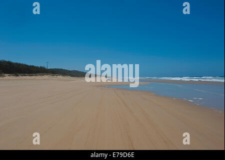 75 Mile Beach, Fraser Island, Queensland, Australien Stockfoto