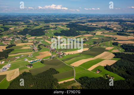 Luftaufnahme, Felder und Wiesen, alpine Hochland Andorfer, Oberösterreich, Österreich Stockfoto