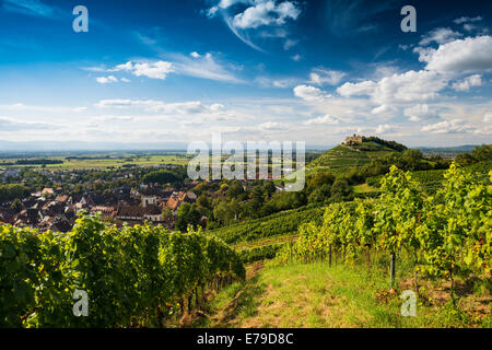 Weinberge und Burg Staufen, hinter dem Rheintal, Staufen Im Breisgau, Markgräflerland, Schwarzwald, Baden-Württemberg Stockfoto