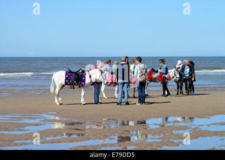 Traditionelle eselreiten am Strand von Blackpool Stockfoto