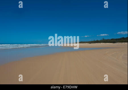 75 Mile Beach, Fraser Island, Queensland, Australien Stockfoto