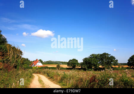 Eine Bahn und öffentlichen Fußweg durch die Landschaft in Claxton, Norfolk, England, Vereinigtes Königreich. Stockfoto