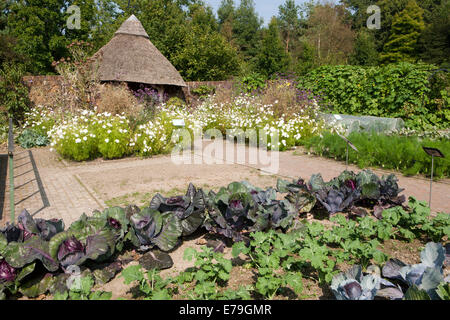 Reetgedeckte Sommerhaus im Gemüsegarten am RNS Rosemoor, North Devon. Stockfoto