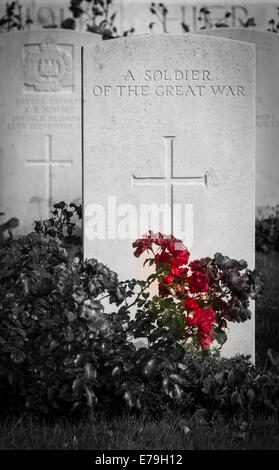 Grab eines unbekannten britischen Soldaten getötet in WW1, Tyne Cot Friedhof, Belgien Stockfoto