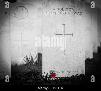 Grabsteine auf dem ersten Weltkrieg Friedhof am Tyne Cot, Belgien Stockfoto