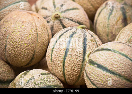 Reife frische Melonen Haufen in einem Markt. Horizontalen Schuss Stockfoto