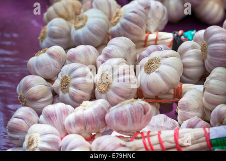 Knoblauch Trauben in einem Markt. Horizontale Makro erschossen mit selektiven Fokus Stockfoto