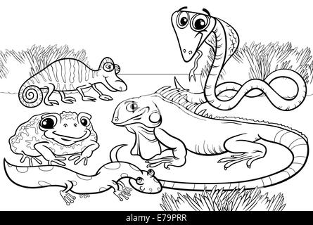 Schwarz / Weiß Cartoon Illustrationen von lustigen Reptilien und Amphibien Tiere Characters Group für Malbuch Stockfoto