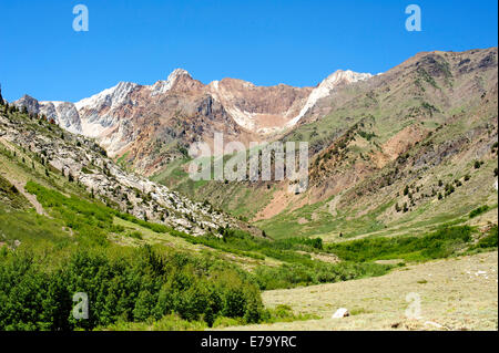 Wandern bis McGee Creek Canyon in der California High Sierra Stockfoto