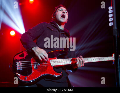 Fall Out Boy führen zu einem ausverkauften Publikum bei Heineken Music Hall Featuring: Pete Wentz, Fall Out Boy wo: Amsterdam, Niederlande: 8. März 2014 Stockfoto