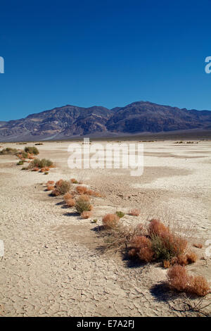 Salz, Pan, Panamint Valley und Panamint Range, Death Valley Nationalpark, Mojave-Wüste, Kalifornien, USA Stockfoto