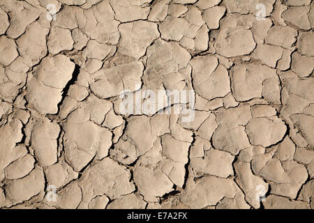 Getrocknete Schlamm auf Salzpfanne, Panamint Valley, Death Valley National Park, Mojave-Wüste, Kalifornien, USA Stockfoto