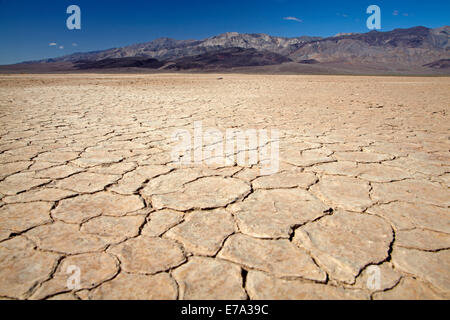 Getrocknete Schlamm in Panamint Valley und Argus Reihe, Death Valley National Park, Salzpfanne, Mojave-Wüste, Kalifornien, USA Stockfoto