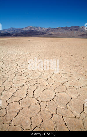 Getrocknete Schlamm in Panamint Valley und Argus Reihe, Death Valley National Park, Salzpfanne, Mojave-Wüste, Kalifornien, USA Stockfoto