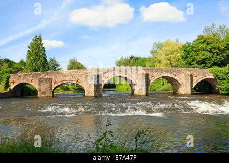 Alte Steinbrücke Spannweiten River bei Bickleigh Devon England Stockfoto