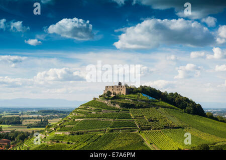 Weinberge und Burg Staufen, hinter dem Rheintal, Staufen Im Breisgau, Markgräflerland, Schwarzwald, Baden-Württemberg Stockfoto