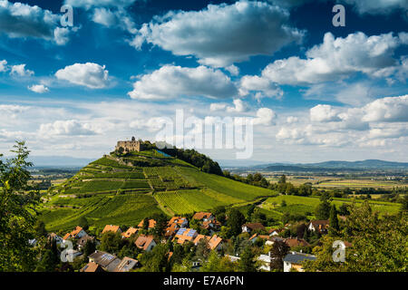 Weinberge und Burg Staufen, hinter dem Rheintal, Staufen Im Breisgau, Markgräflerland, Schwarzwald, Baden-Württemberg Stockfoto