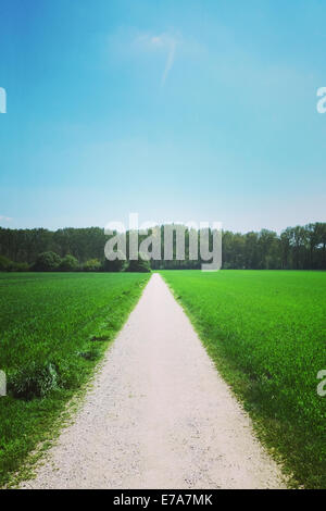 geraden Weg durch Felder. Instagram-wie Vintage-Effekt hinzugefügt Stockfoto