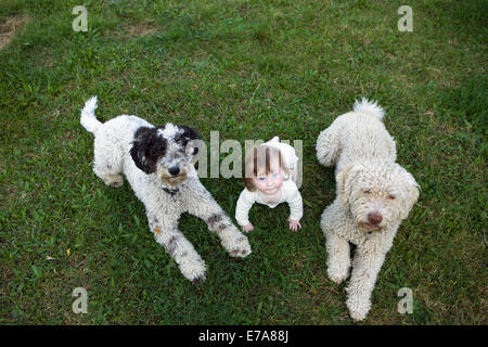 Babymädchen mit portugiesischen Wasserhunde liegen auf dem Rasen Stockfoto