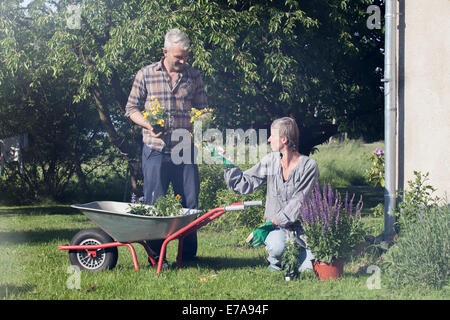 Älteres paar Pflanzen Blumen im Garten Stockfoto