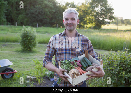 Porträt von lächelnden reifer Mann tragen Kiste von erntefrischem Gemüse im Garten Stockfoto