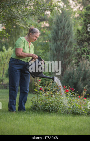 Ältere Frau, die Blumen im Garten gießen Stockfoto