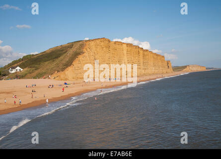 Golden Afternoon Licht auf Sandstein-Klippen, Klippen East, West Bay, Bridport, Dorset, England Stockfoto