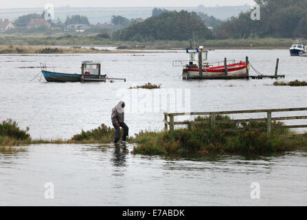 Dornweiler, Norfolk, Großbritannien. 11. September 2014. Eine außergewöhnlich hohe Flut überschwemmt den Hafen, Staithe Straße und die Sümpfe am Dornweiler verursacht eine kleinen Schwierigkeit für einen gestrandeten Walker. Bildnachweis: Stuart Aylmer/Alamy Live-Nachrichten Stockfoto