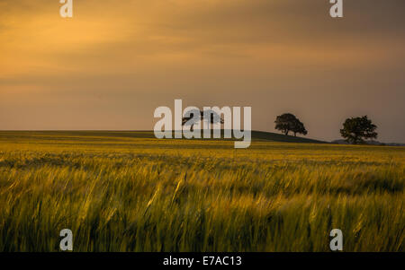 Abendlicht - Schuss auf einen schönen Sommerabend im Alvecote, Tamworth genommen Stockfoto