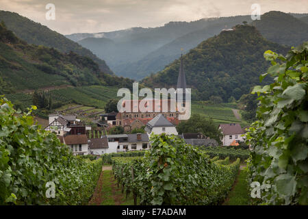 Blick von der berühmten Weinstrasse auf der Weinort Mayschoss, Ahr-Tal ist eine sehr beliebte und viel besuchte Weinregion. Stockfoto