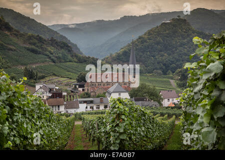 Blick von der berühmten Weinstrasse auf der Weinort Mayschoss, Ahr-Tal ist eine sehr beliebte und viel besuchte Weinregion. Stockfoto