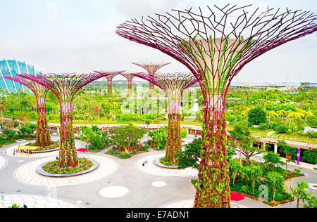 Gardens by the Bay in Singapur. Stockfoto