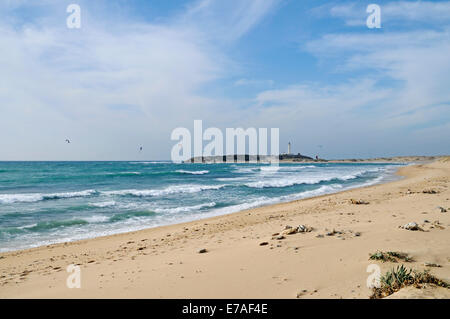 Playa de Caños de Meca, Strand, Kitesurfer, Cabo de Trafalgar auf der Rückseite, Leuchtturm, Barbate, Provinz Cadiz, Andalusien Stockfoto