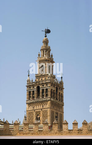 La Giralda, Sevilla Kathedrale, Plaza Patio de Banderas, Alcazar von Sevilla, Barrio de Santa Cruz, Sevilla, Andalusien, Spanien Stockfoto