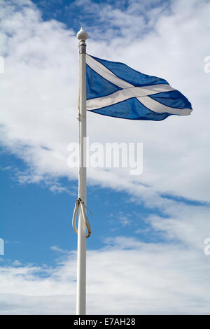 Das Andreaskreuz oder schottische Andreaskreuz Flagge weht im Wind vor blauem Himmel. Stockfoto