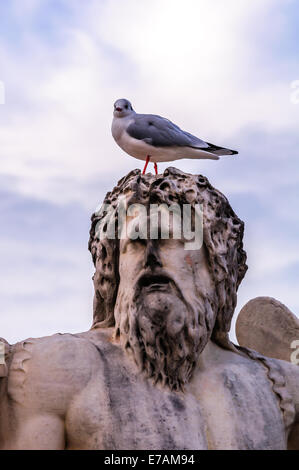 Eine Möwe sitzt auf dem Kopf einer Skulptur in einem Garten in Paris Frankreich. Stockfoto