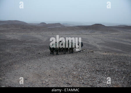 Israelische Soldatinnen aus dem Combat Intelligence Collection Corps Teilnahme an einen Bohrer in der Wüste Negev nahe der Grenze zu Ägypten in Israel. Stockfoto