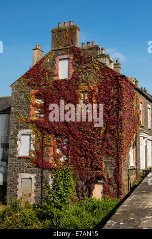 Ende der Terrasse Haus Giebelwand bedeckt in Ivy, Bushmills, County Antrim, Nordirland. Stockfoto